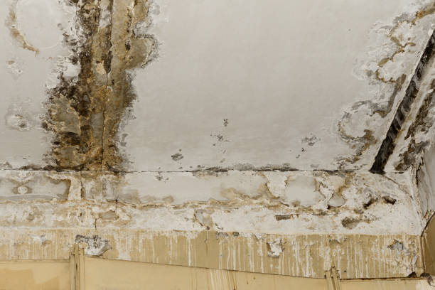 Best Indoor Air Quality Assessment  in , ND